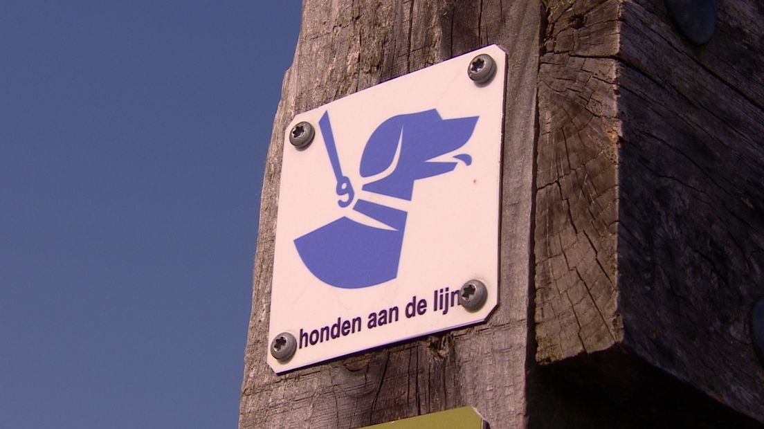 Boswachters in actie: hond aan de lijn (video)
