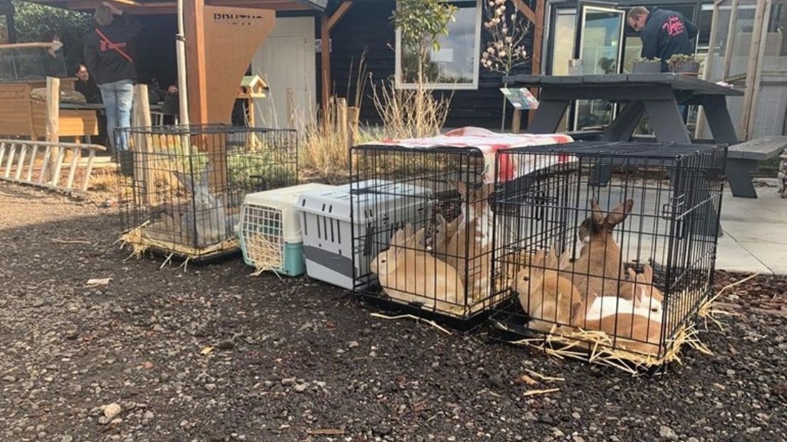 verwaarloosde dieren kinderboerderij
