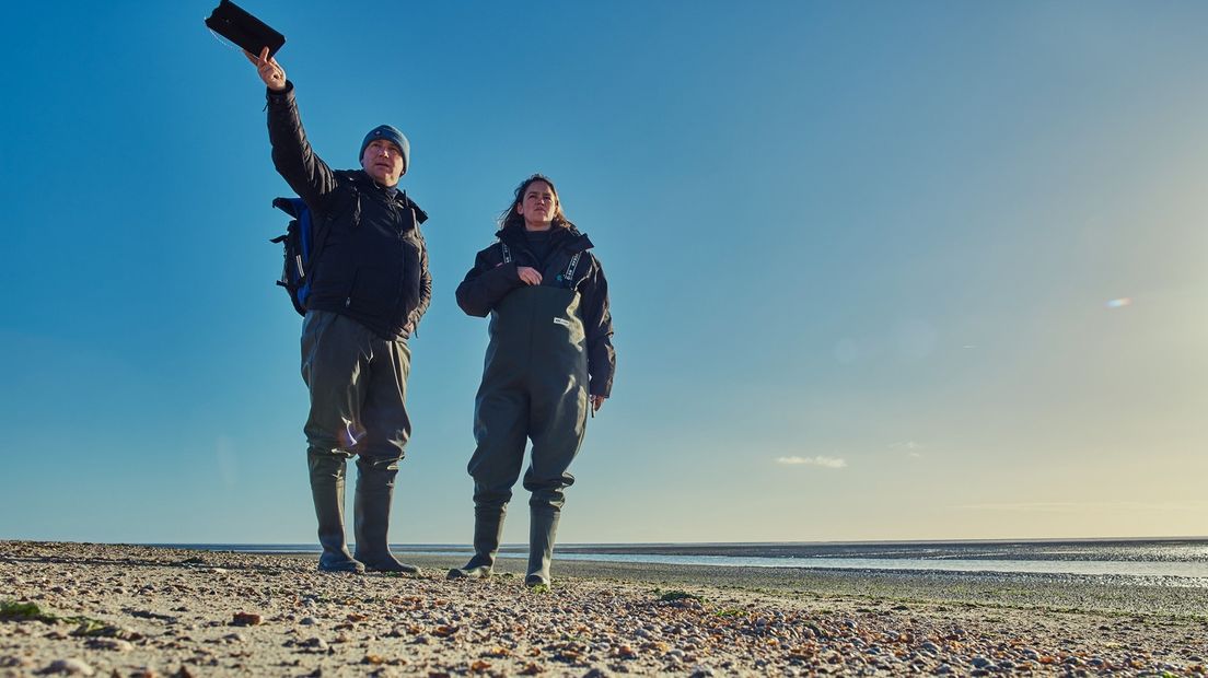 Onderzoekers Arjen Dijkstra van de Waddenunit en Elisa Bravo Rebolledo van Bureau Waardenburg