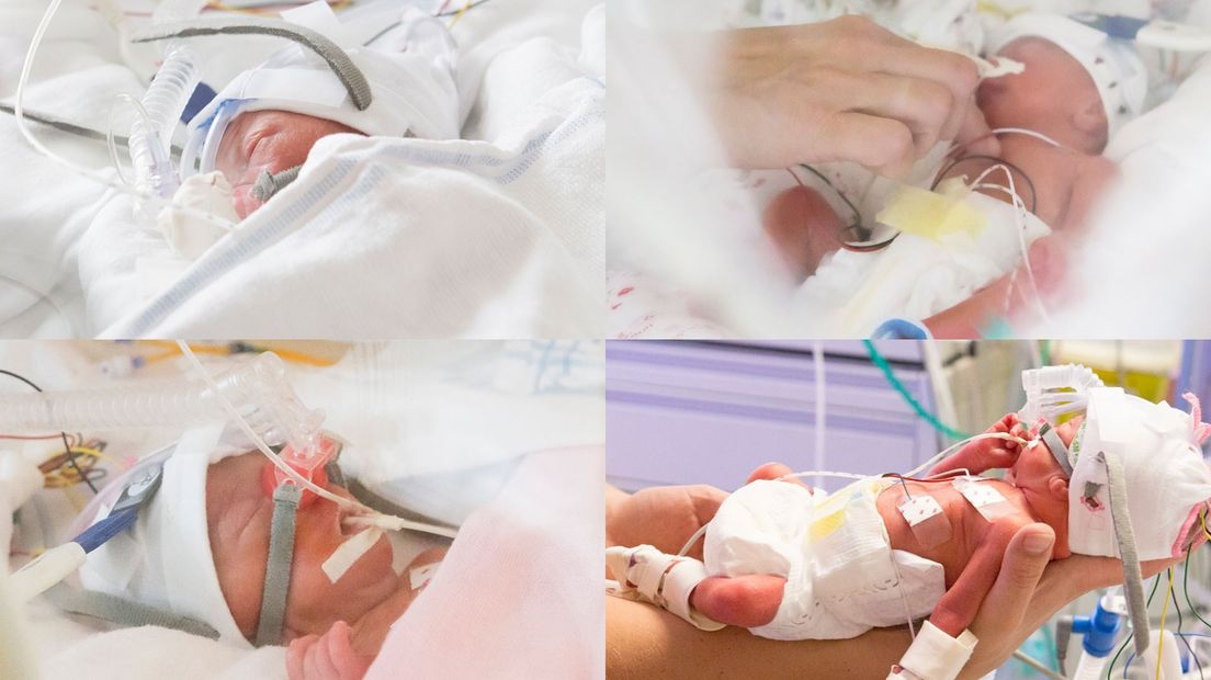 Echtpaar uit Bathmen trotse ouders van vierling Aukje, Eefke, Hiske en