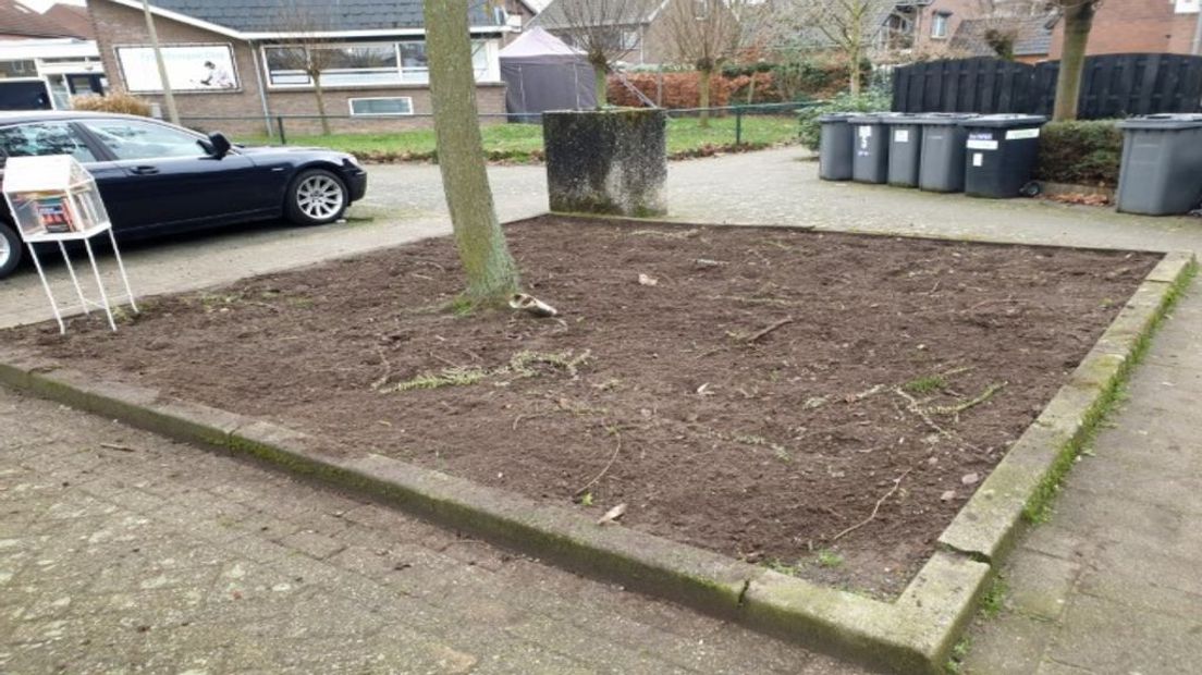 Een van de plantsoentjes waar de plantjes kort mochten verblijven.