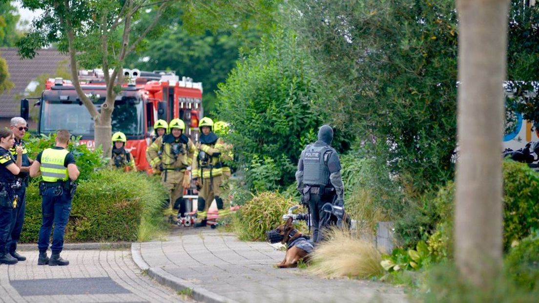 Het arrestatieteam heeft een persoon aangehouden.