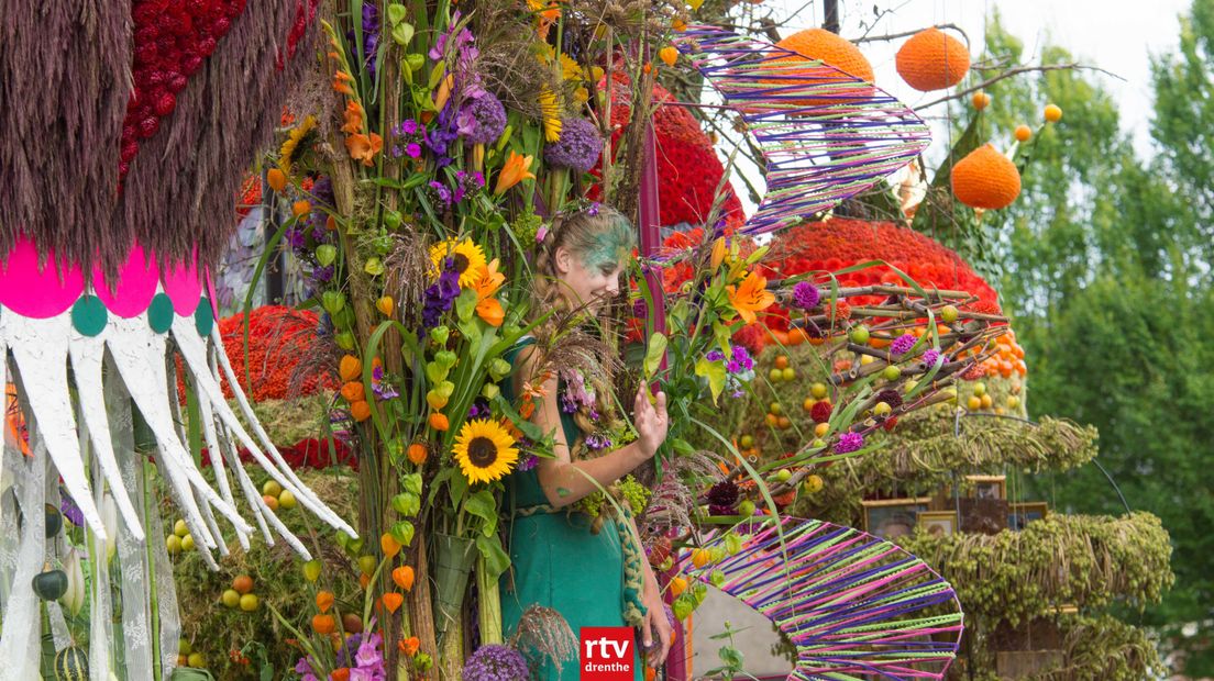Bloemencorso Eelde in 2016 (Rechten: Kim Stellingwerf)