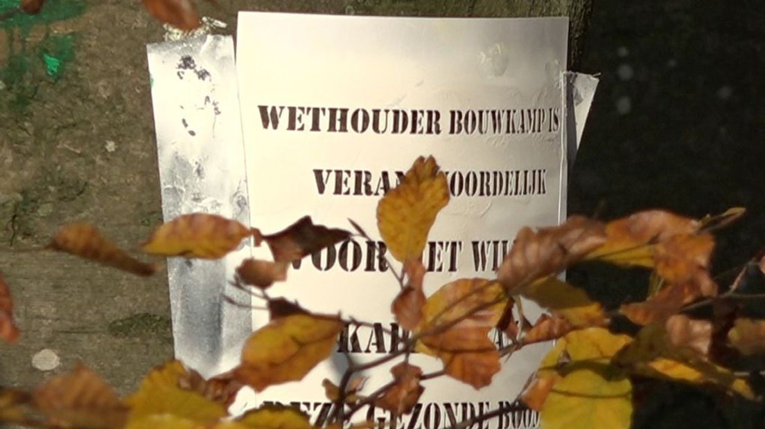 Actievoerders stellen dat het Arnhemse gemeentebestuur bomen kapt zonder toestemming van de raad