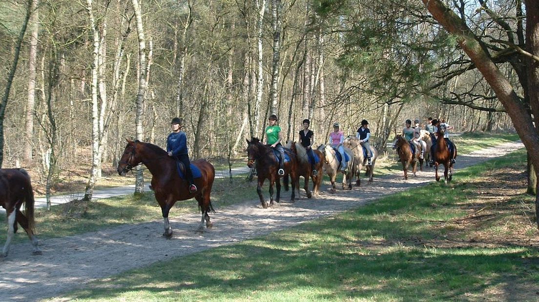 Onrust onder ponybezitters