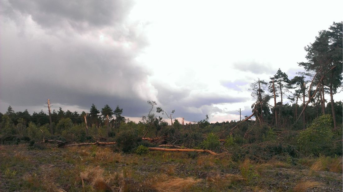 Stormschade aan de Koetreeweg op de Hellendoorse berg