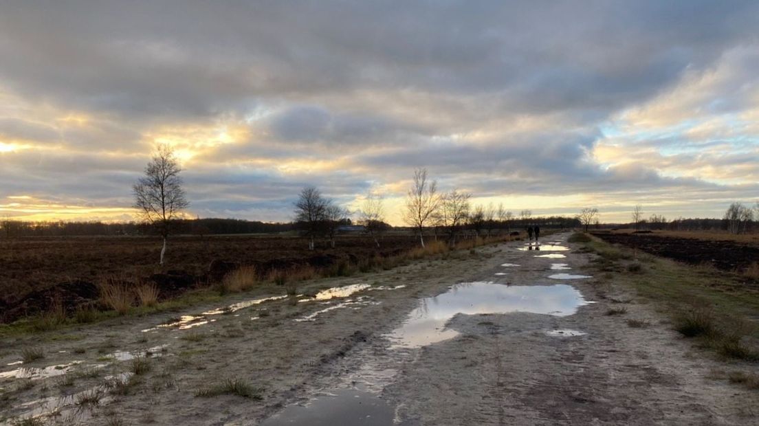 Er wordt druk gewerkt aan kades en bufferzone voor het grondwaterpeil (Rechten: RTV Drenthe/Janet Oortwijn)