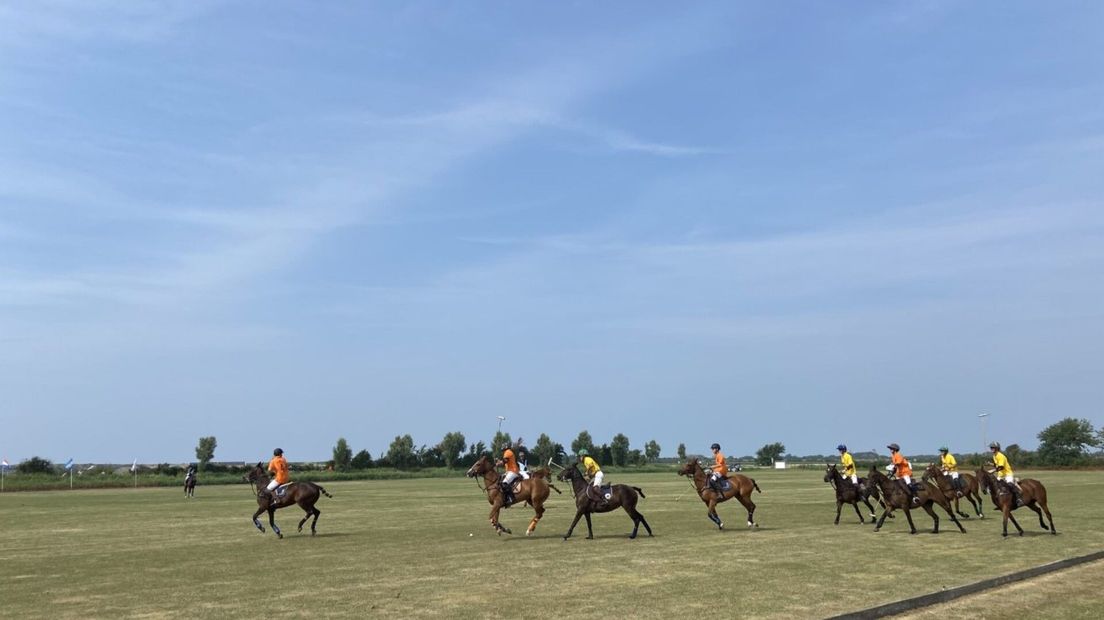 The start of the Zeeland polo season attracts hundreds of spectators: “Hockey on horseback, with a touch of rugby”