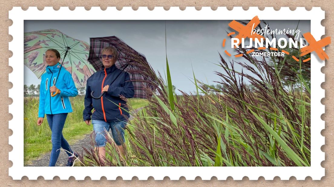 Boerenbedrijf wordt meer en meer camping: 'Mensen komen hier voor rust en ruimte' - RTV Rijnmond
