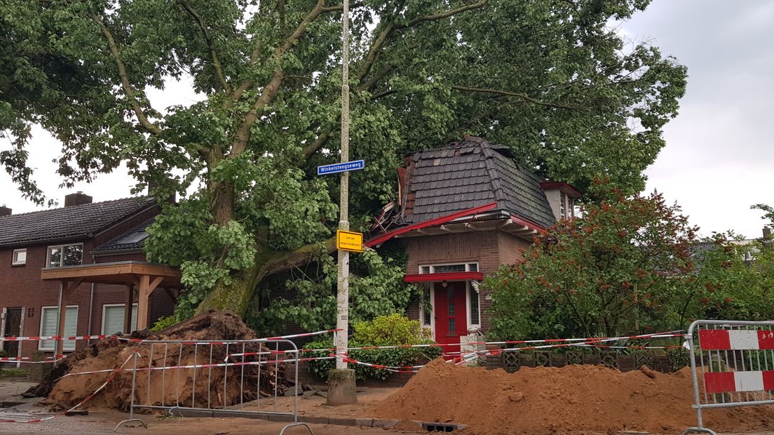 De omgevallen boom in de Winkelsteegseweg in Nijmegen.