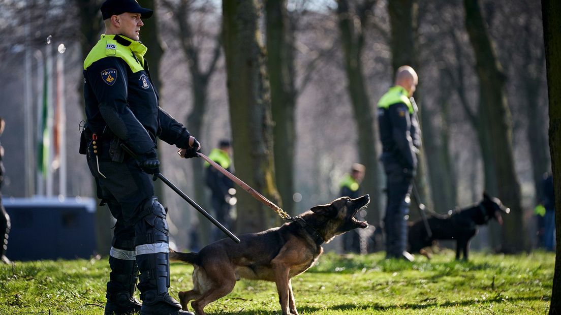 Politiehonden in actie op het Malieveld