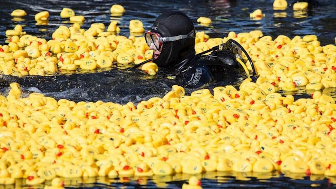 Badeendenrace