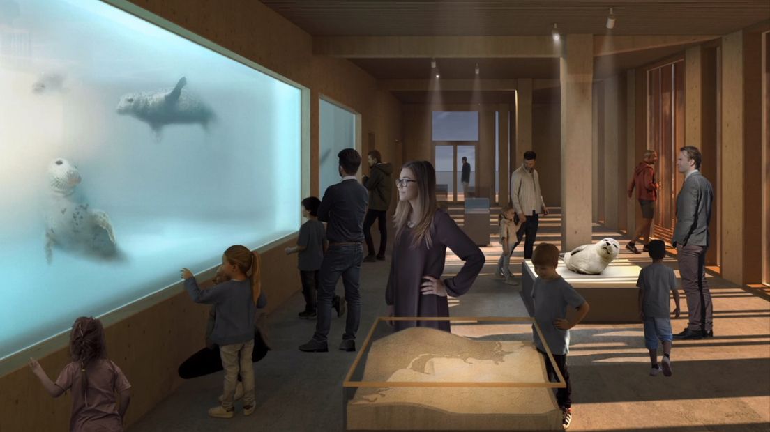 Het zeehondencentrum krijgt een plek in het Werelderfgoedcentrum