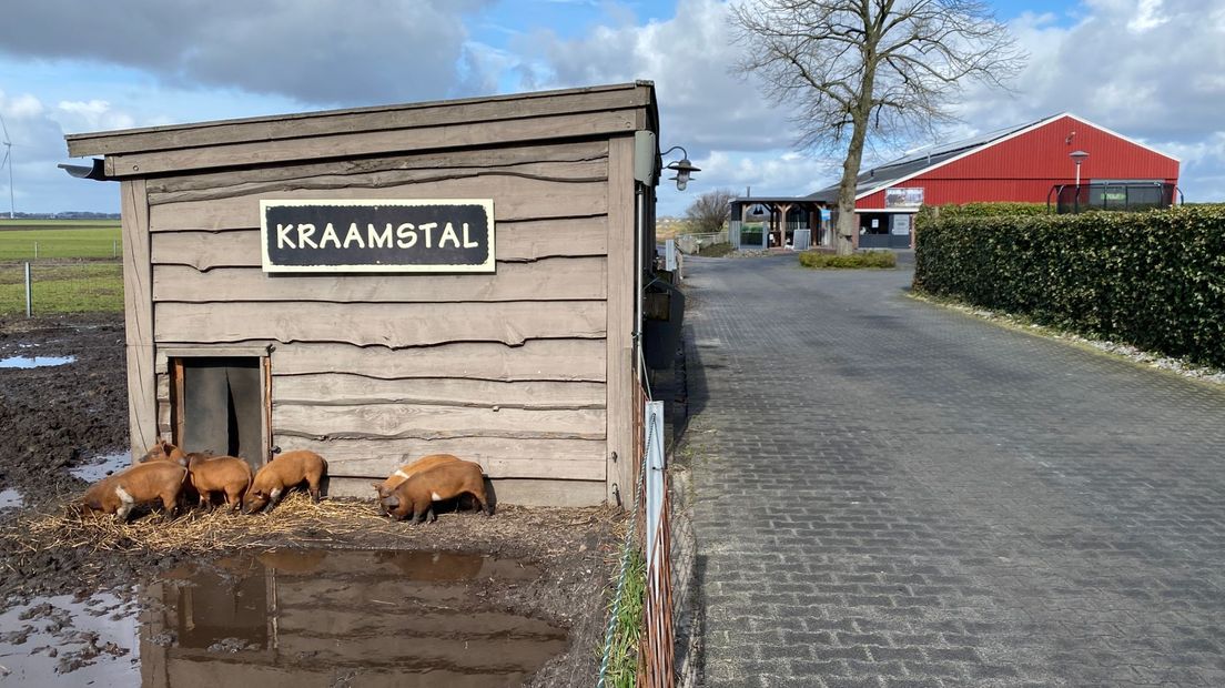 stembureau varkensstal