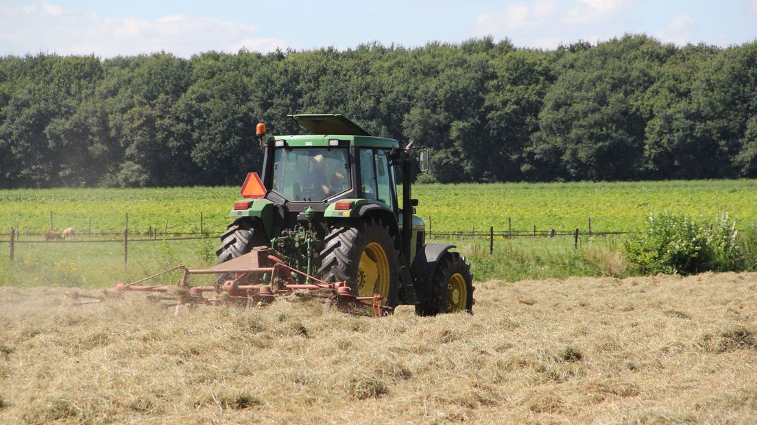 De oogsten van dit jaar vielen tegen door de aanhoudende droogte. (Rechten: RTV Drenthe/Robbert Oosting)