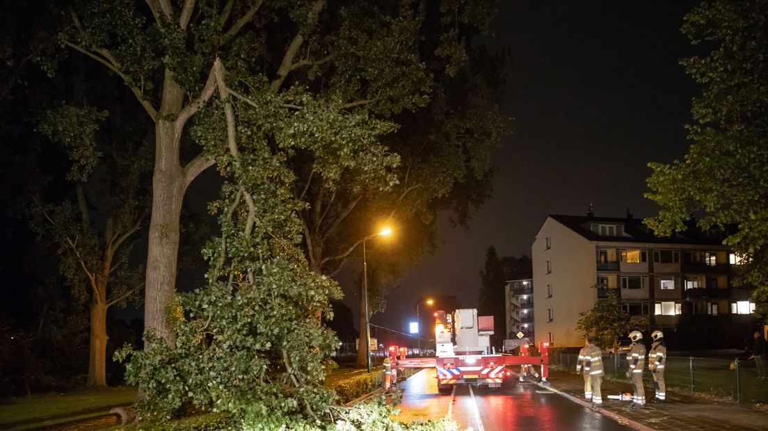 Vallende tak schampt auto en blokkeert de Geerenweg