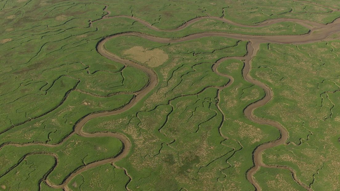Waarom Zeeland uniek is in de wereld