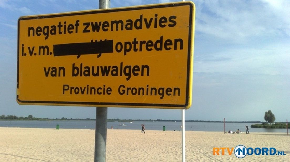 Blauwalg bij Meerwijck