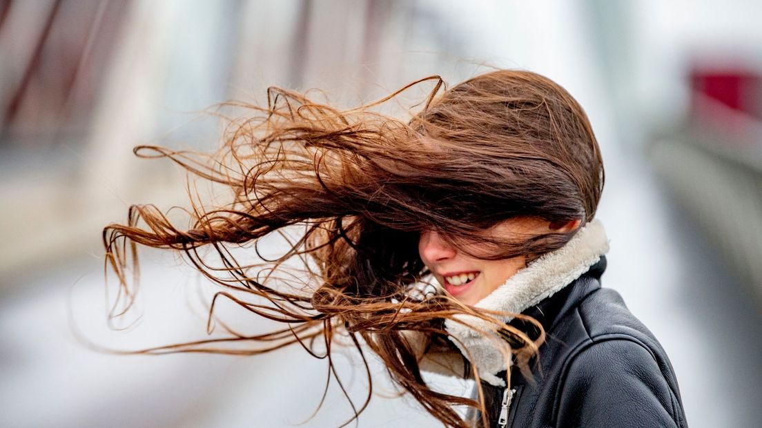 wind