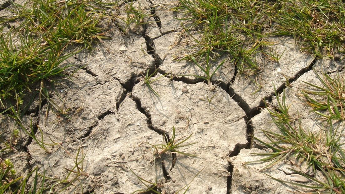 Scheuren in een droge dijk.