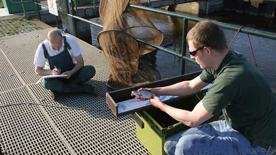 Inventarisatie door Waterschap Groot Salland