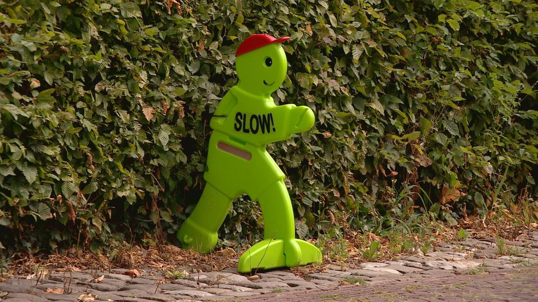 Verkeersmaatje