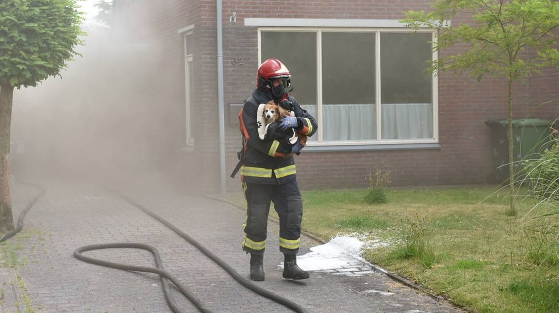 De brandweer redde het hondje uit de woning in Tolbert
