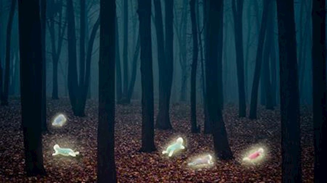 Lichtgevende baby's
