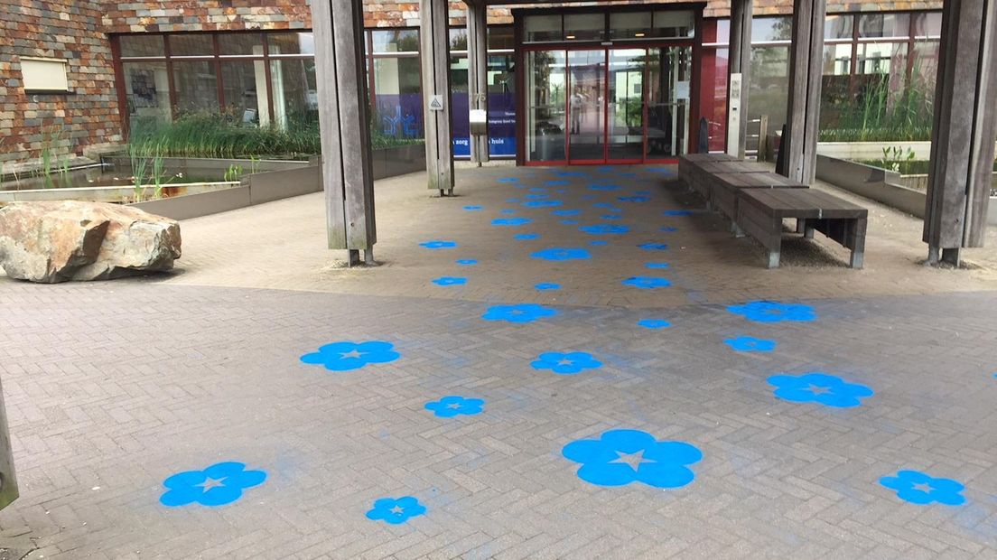 Een Vergeet-mij-nietjes-pad bij het Zonnehuis in Zwolle