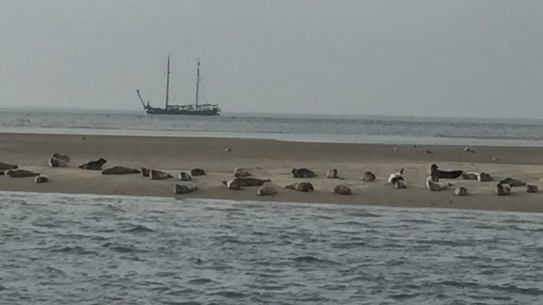 Een boot vaart langs een zandbank