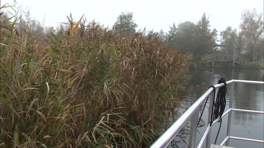 Met de boot door het natuurgebied