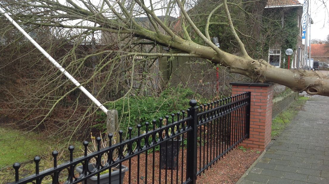 Stormschade In Drenthe: Bomen Omgewaaid En Overlast Op En Rond De Weg ...