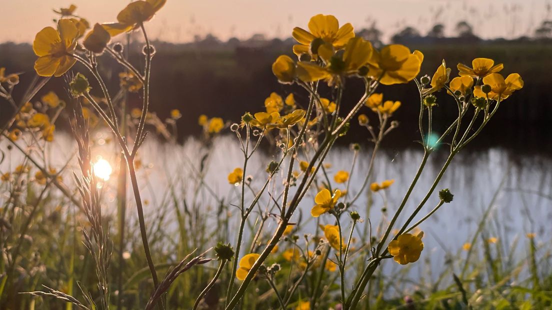 Zeeland Wordt Wakker 19 mei