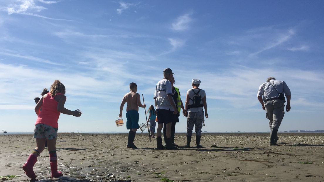 Wadlopen, maar wel op z'n Zeeuws