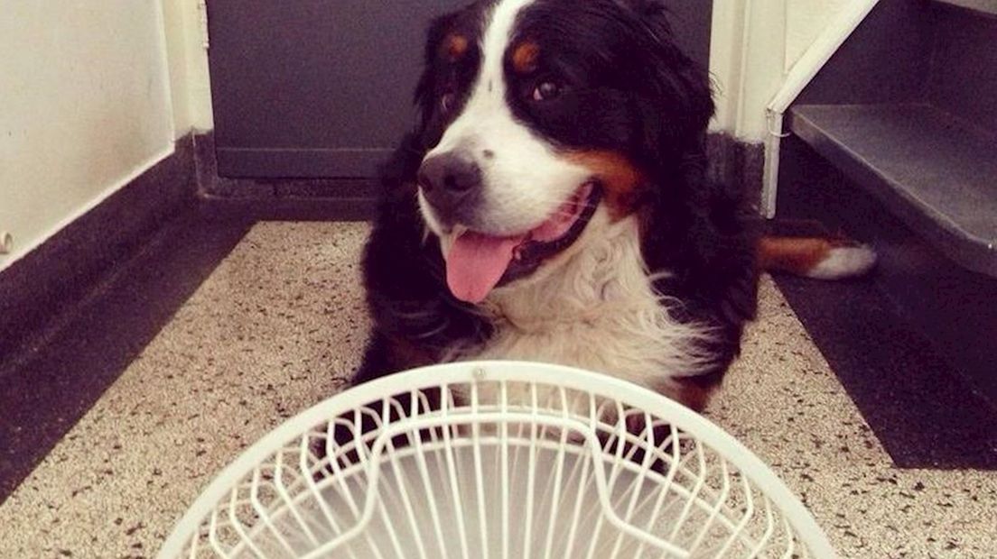 Bij de ventilator