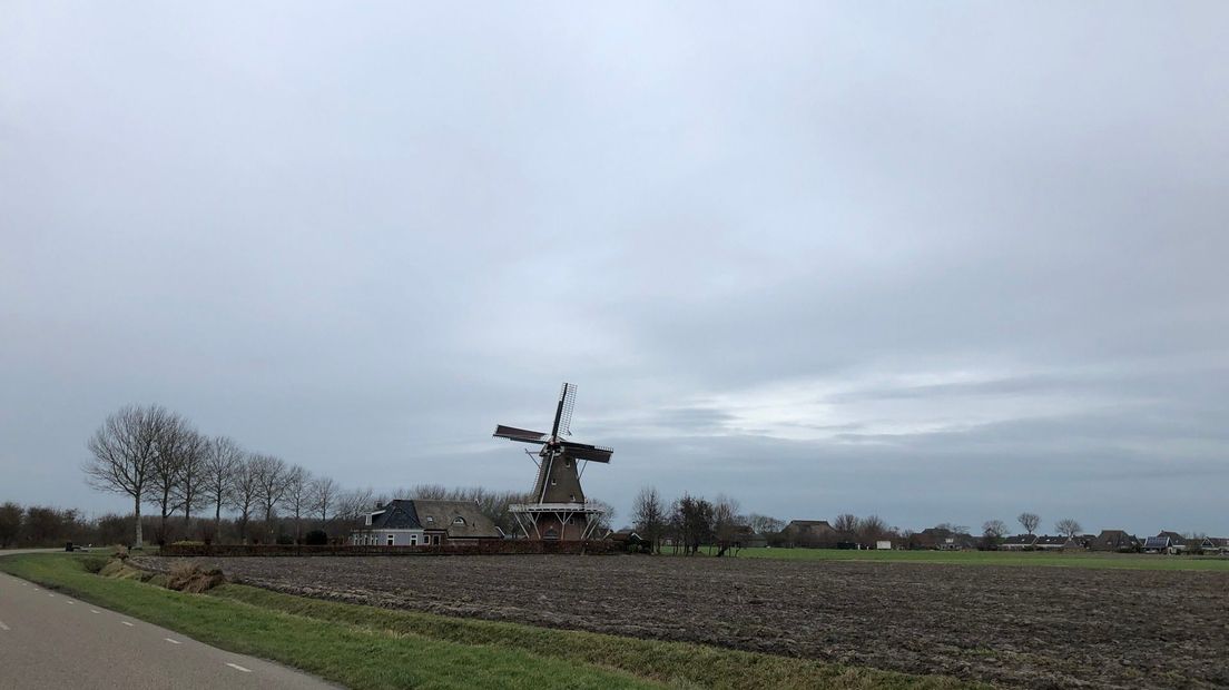 Terugkijken: Molen De Hond in Paesens kan weer malen - Omrop Fryslan