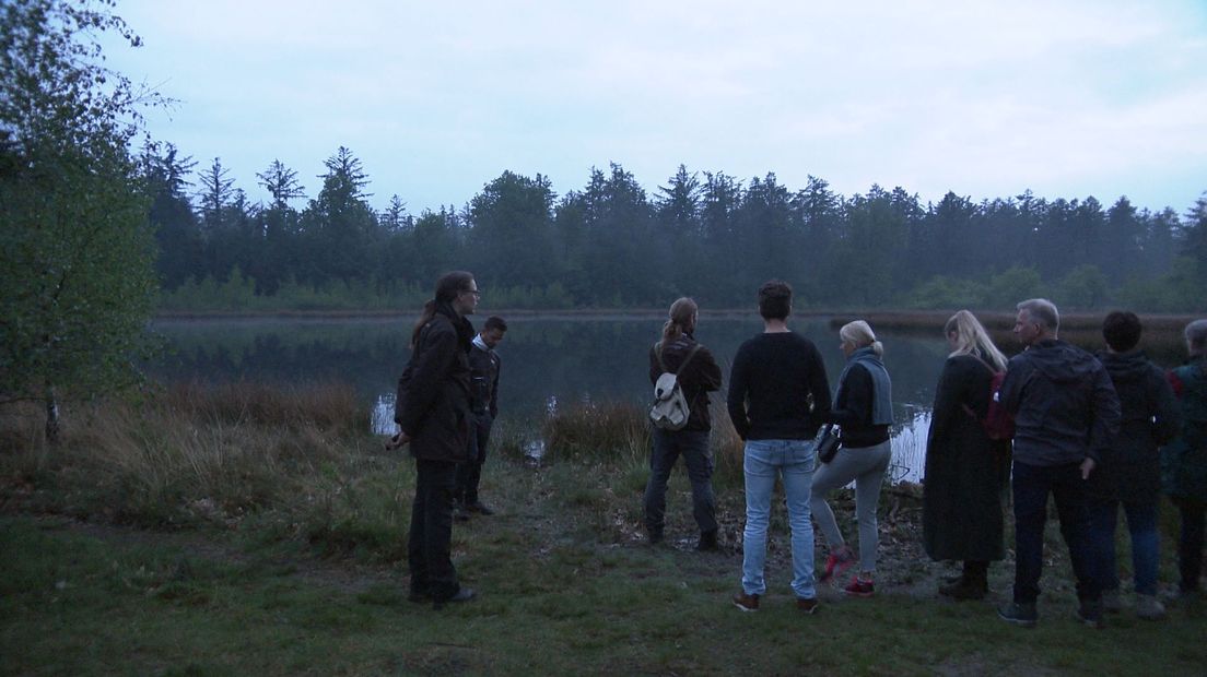 Wandeling door het donkere bos van Borger - RTV Drenthe