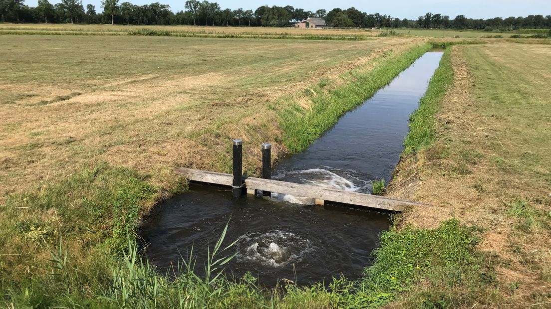 Alleen vlak bij de Drentse Hoofdvaart is het slootwater nog op peil  (Rechten: Serge Vinkenvleugel/RTV Drenthe)
