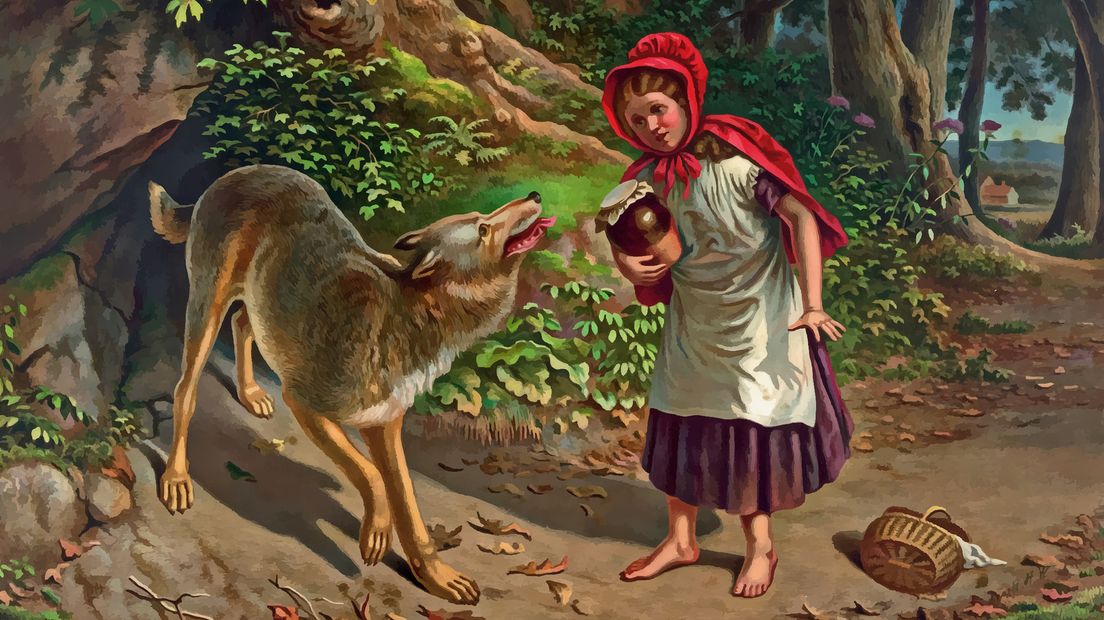 Wolven vergrijpen zich zelden aan meisjes met rode kapjes.