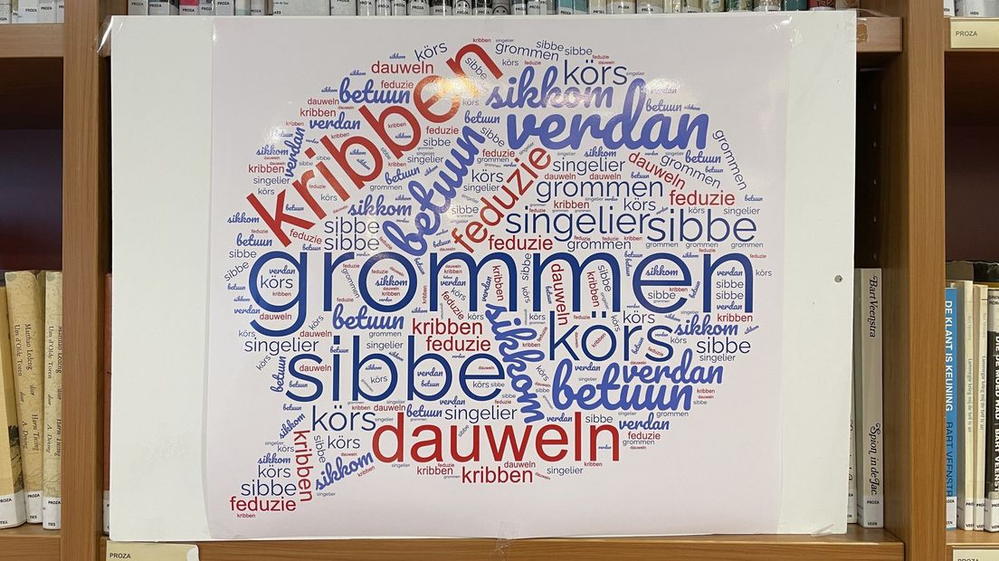 Welk woord wordt het mooiste Drentse woord van 2022? - RTV Drenthe