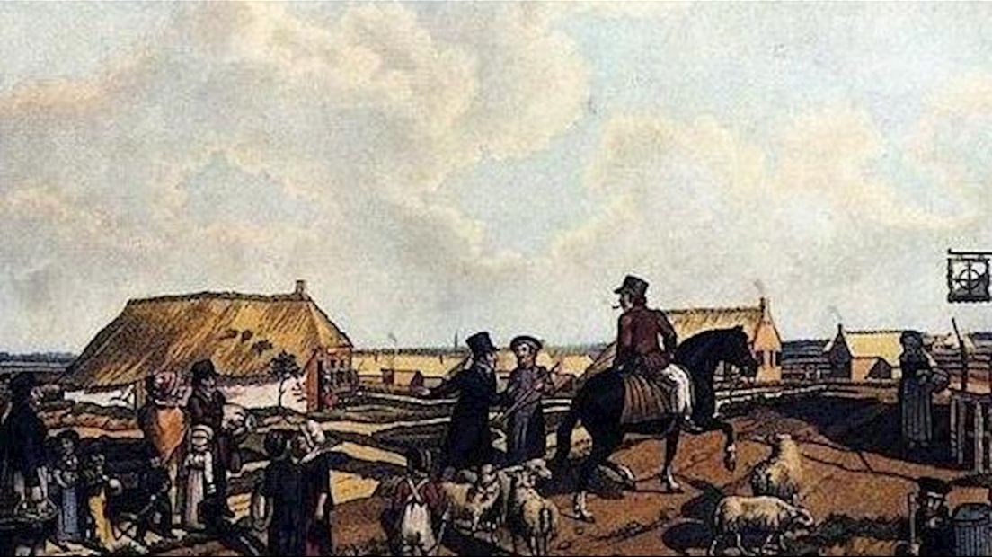 Kolonistenwoning in Willemsoord