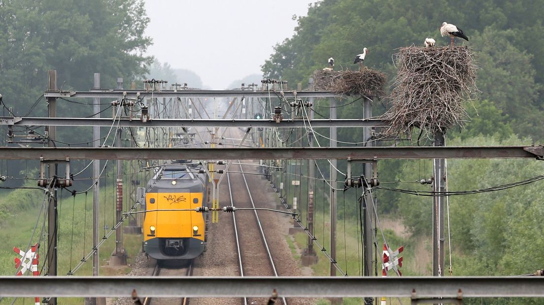 Een trein passeert de drie ooievaarsnesten bij Hoogeveen