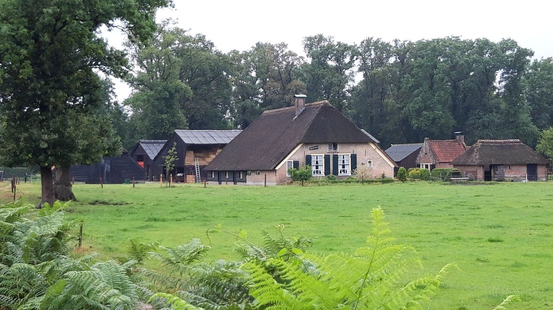 Appel-Driedorp won in 2019 de titel 'Mooiste dorp van Gelderland'. Die titel verdienden ze na een spannende strijd voor het televisieprogramma Zomer in Gelderland, van TV Gelderland.