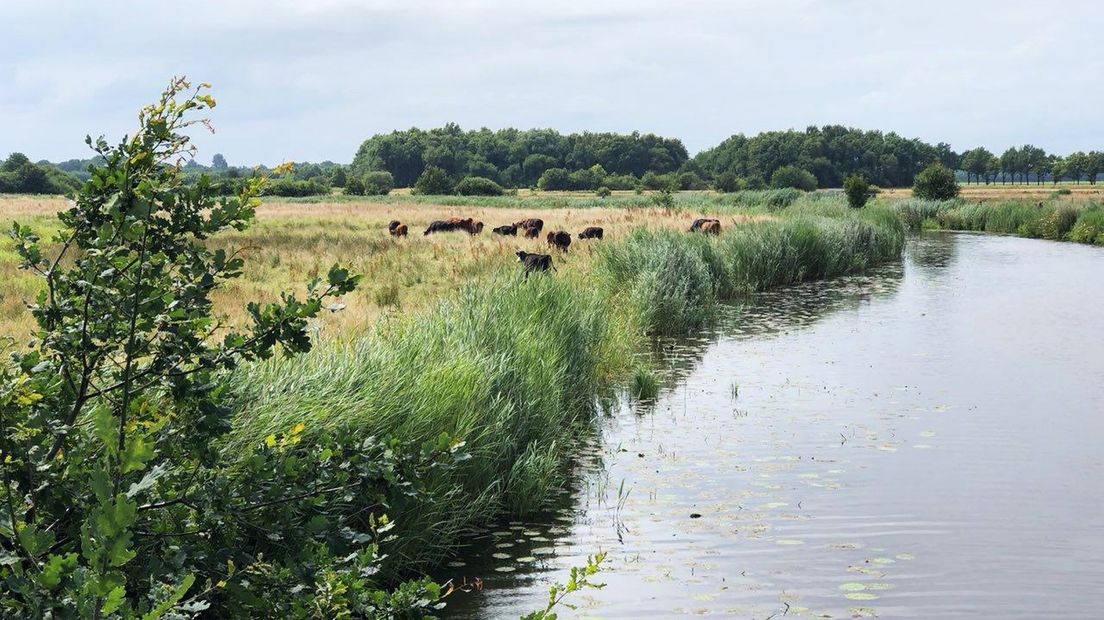 Westerwolde in volle glorie