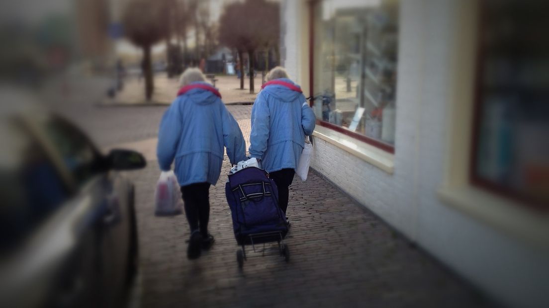 De beroemdste tweeling van Groningen