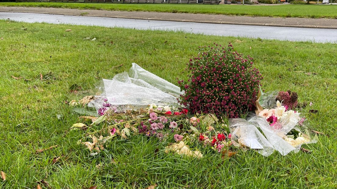 Bloemen langs de Weg naar den Dam in Delfzijl waar een 82-jarige fietser om het leven kwam