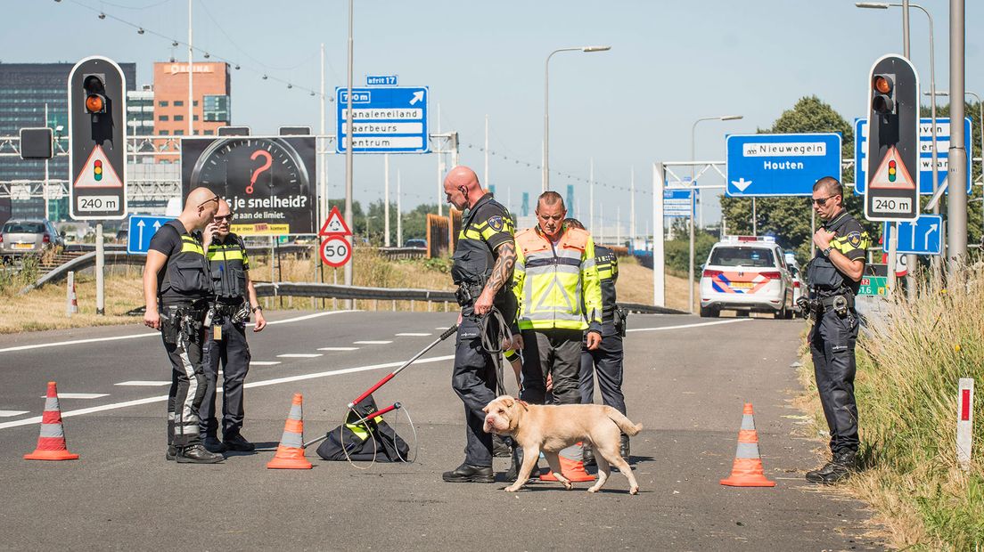 De shar-pei is naar het dierenasiel in Utrecht gebracht.