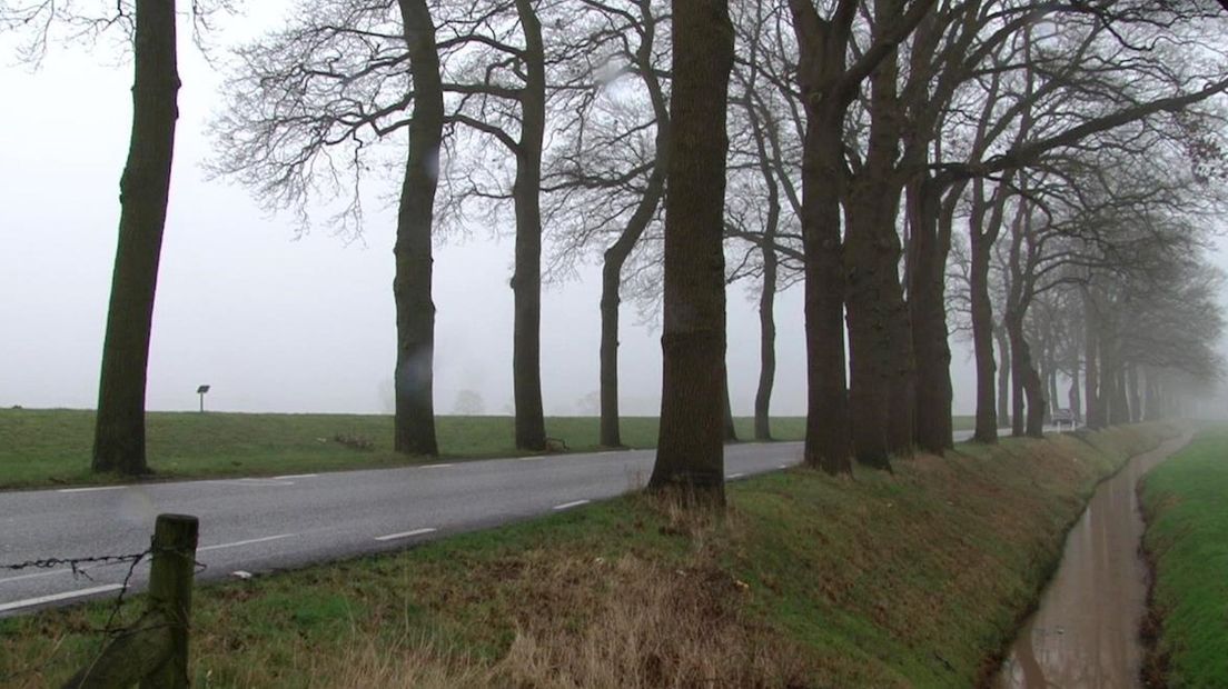 De Rechterensedijk bij Dalfsen