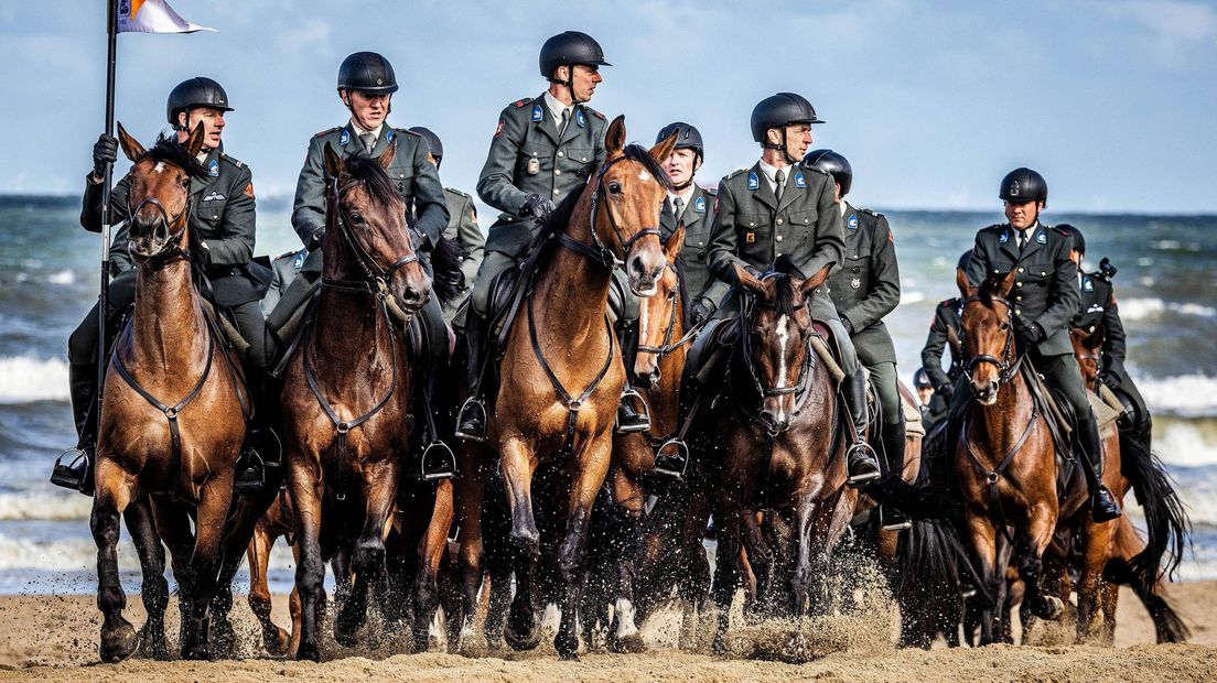 Marco mag misschien meelopen tijdens Prinsjesdag: 'Ik duim voor hem'. Oja, Marco is een paard - RTV 