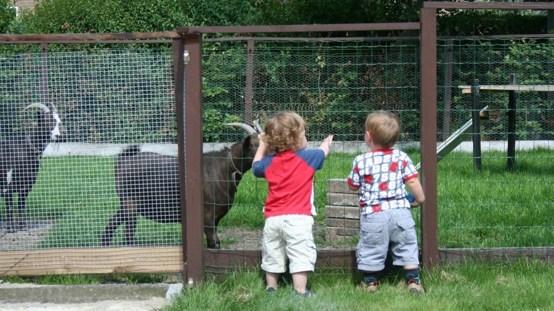 Kinderboerderij (archieffoto)